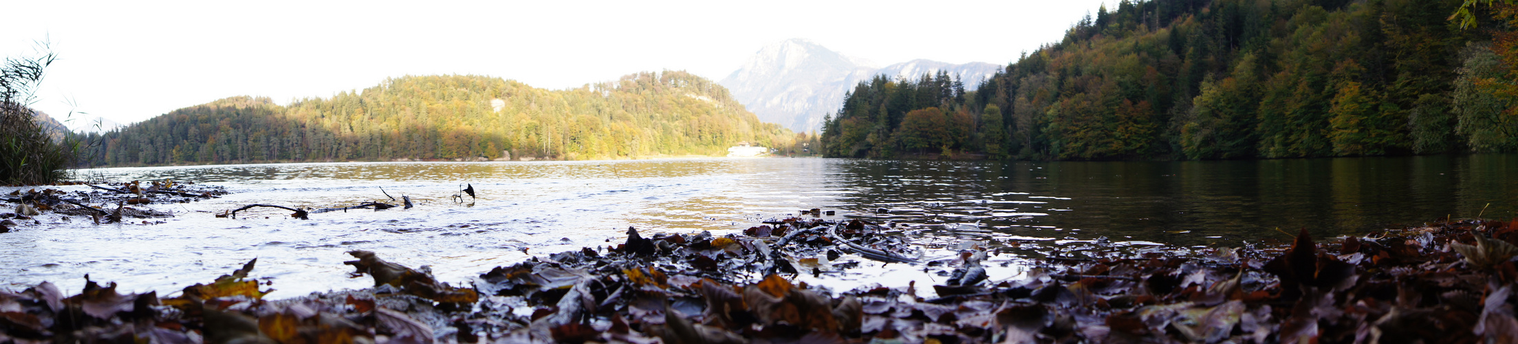 Hechtsee Panorama