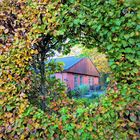 Hecke mit Durchblick