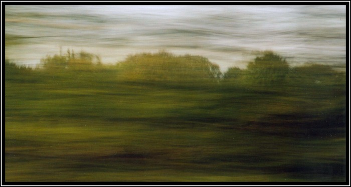 Hecke vor einer Parklandschaft, mitgezogen