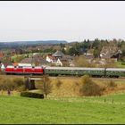 "Heckeneilzug" in der Eifel