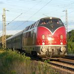 Heckeneilzug nach Wernigerode