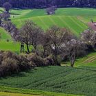 Heckenlandschaft