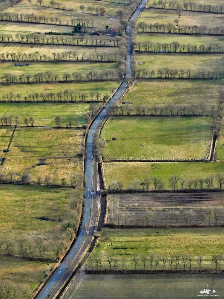 Heckenlandschaft Ostfriesland