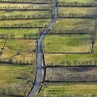 Heckenlandschaft Ostfriesland