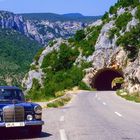 Heckflosse an der Ardèche