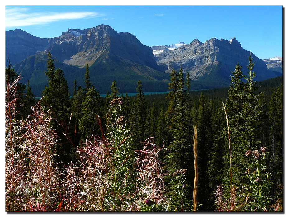 Hector Lake