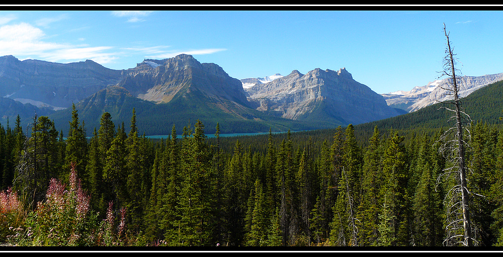 Hector Lake II