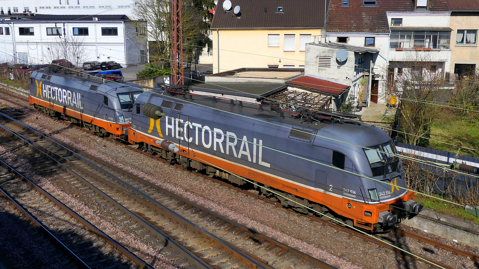 Hectorrail 242.503 + 242.516