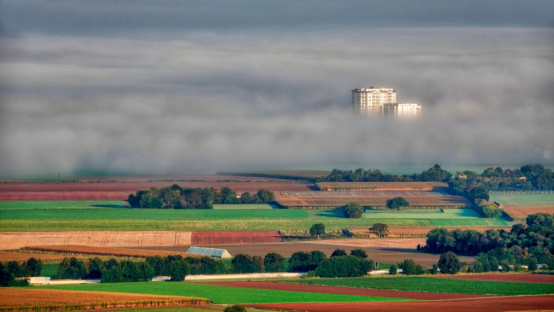 Heddesheim im Nebel