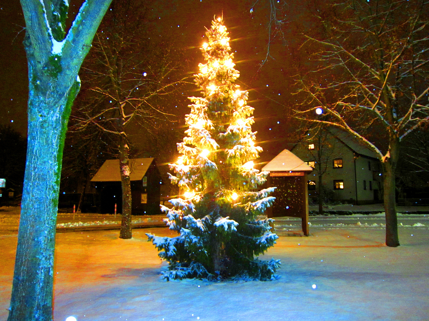 Hedersdorf Weihnachtsbaum Lichterbaum Schnee Winter Schnaittach