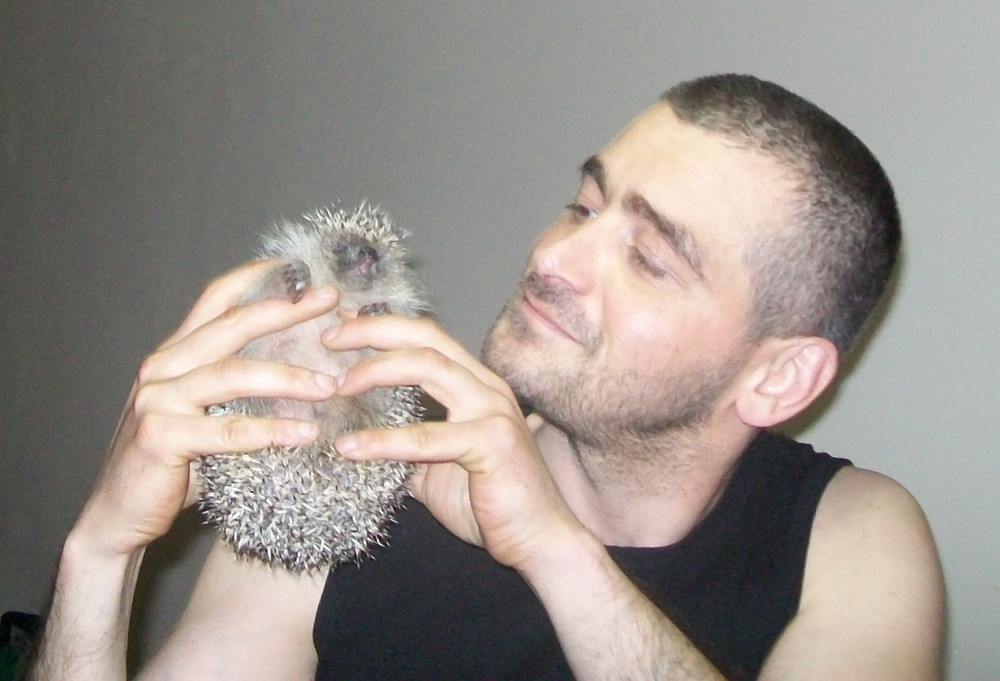 Hedgehog