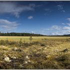 Hedmark, der stille Osten