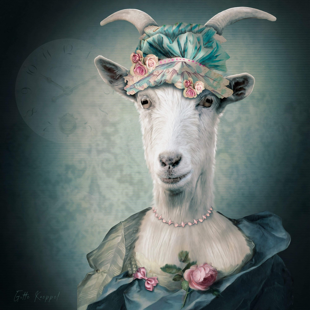 Hedwig Foto & Bild fotomontage, composing , digiart Bilder auf