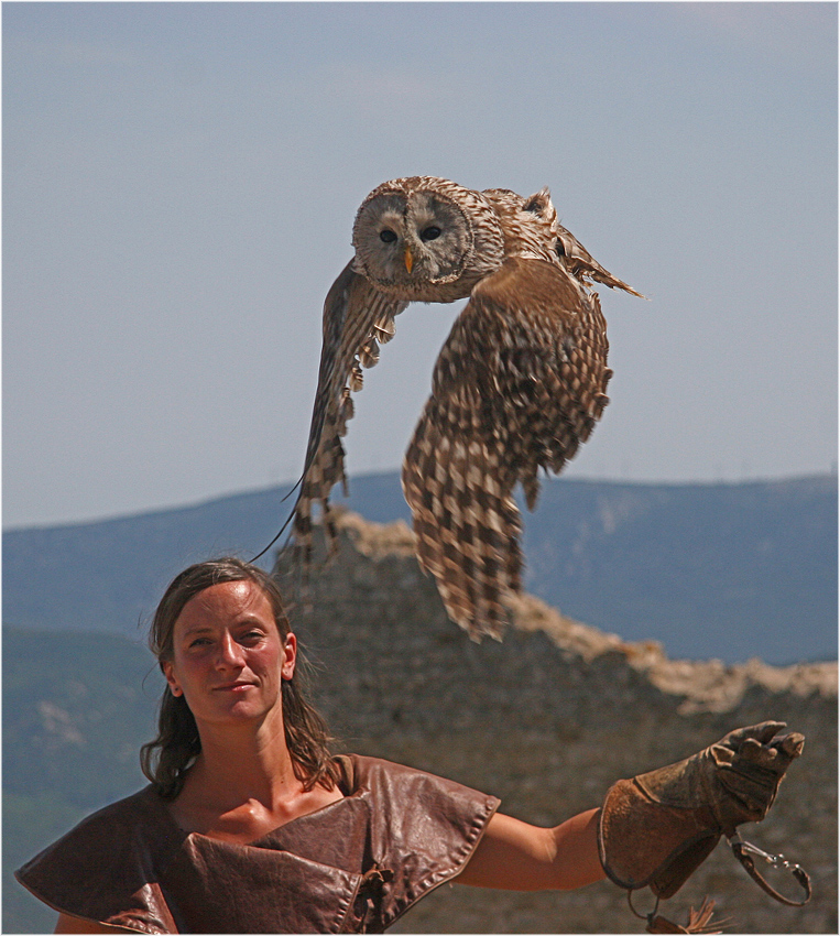 Hedwig hebt ab