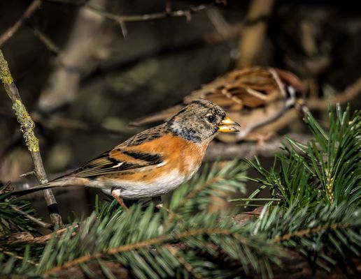 "Hee Kollege, wir machen gerade Bilder von mir"