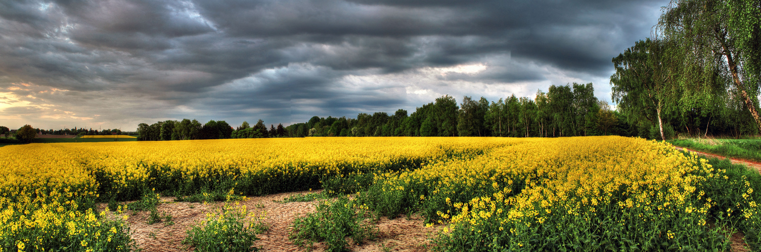 Heerener Heide