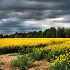 Heerener Heide