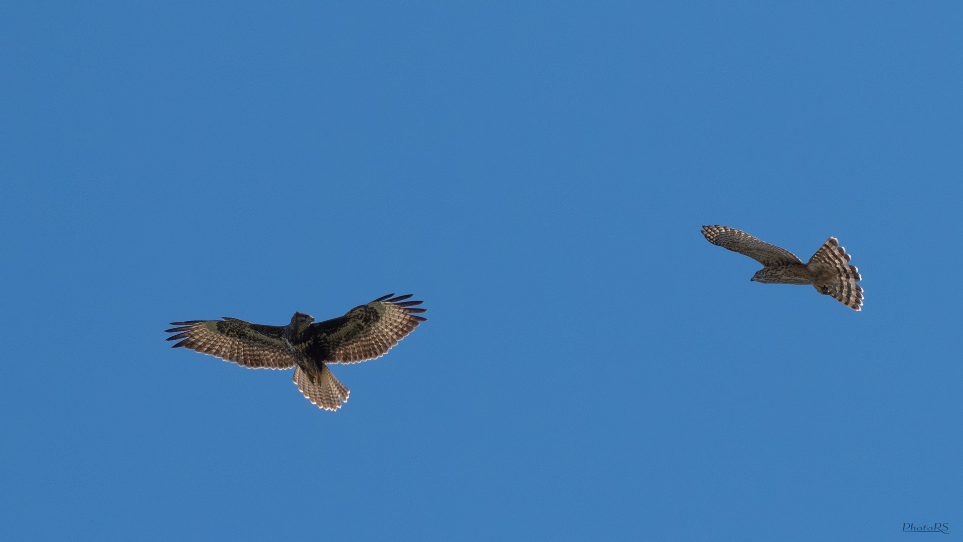 Heftiger Flugverkehr 1