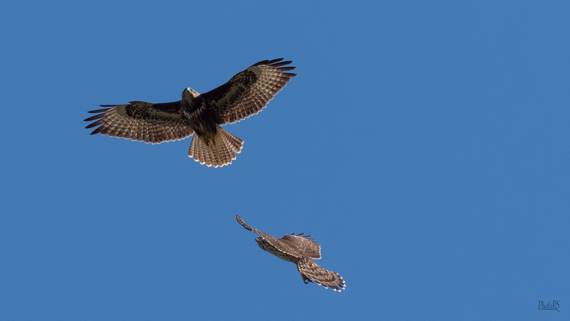 Heftiger Flugverkehr 2