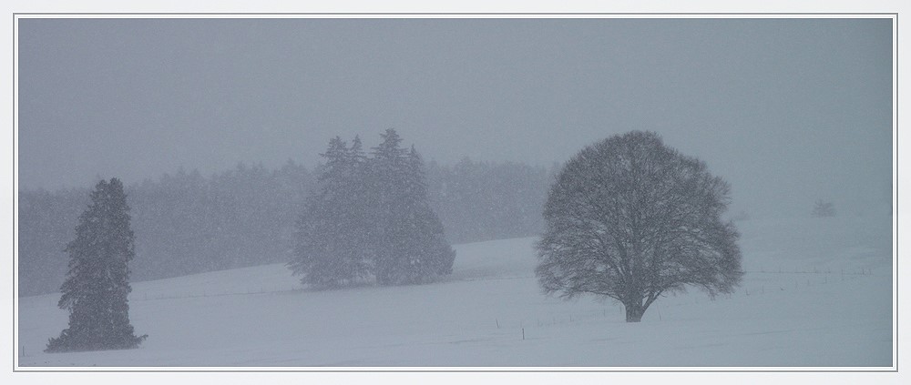 Heftiges Schneetreiben...