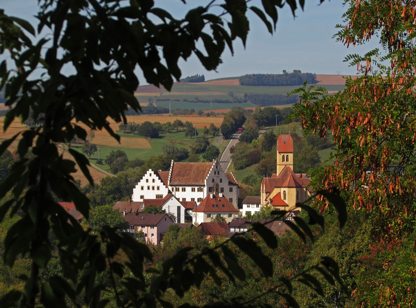 Hegau-Bodensee: Blumenfeld 1