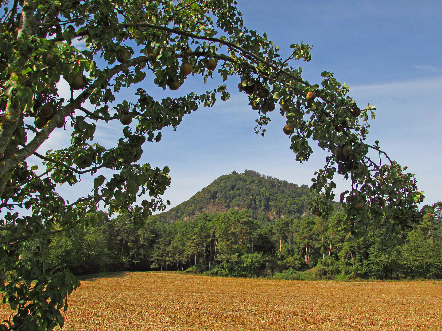 Hegau-Bodensee: Hohenhewen