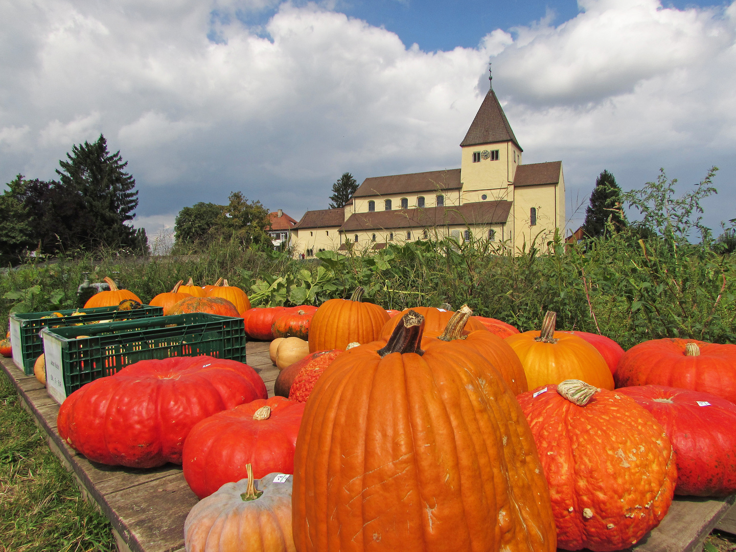 Hegau-Bodensee: Insel Reichenau 1