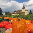 Hegau-Bodensee: Insel Reichenau 1