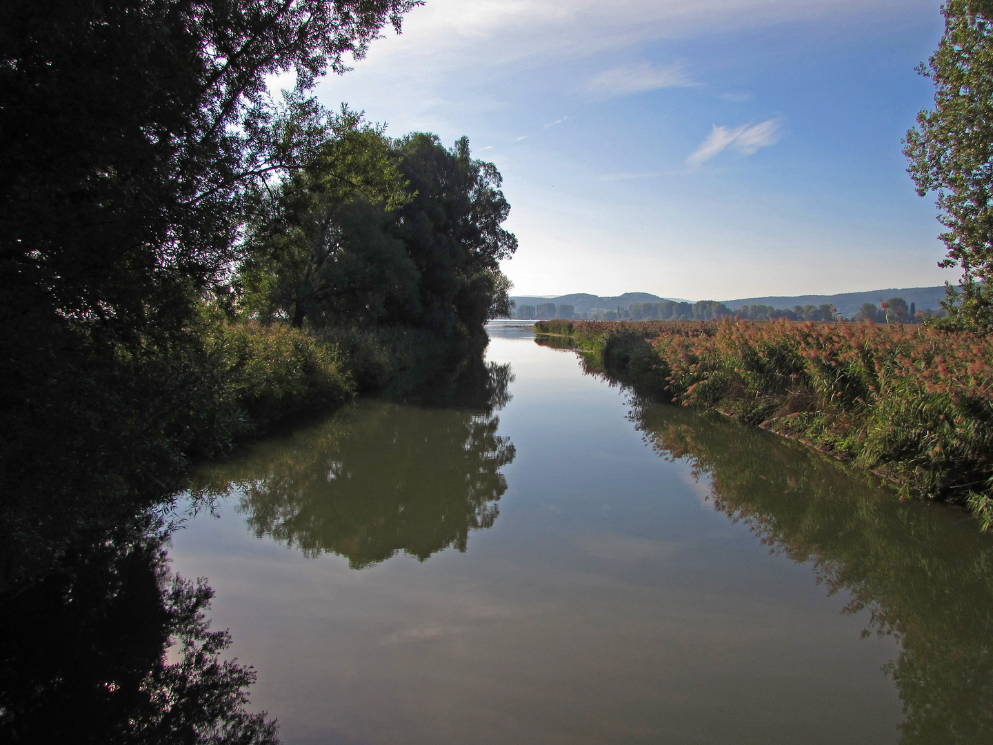 Hegau-Bodensee: Radolfzell 2