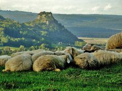 Hegau - Hohenkraehen