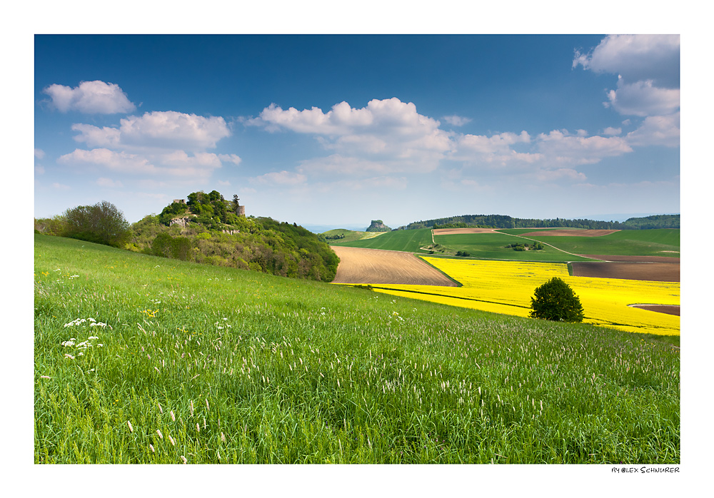 Hegau im Frühling