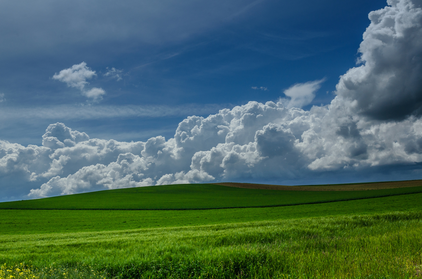 Hegau Landschaft