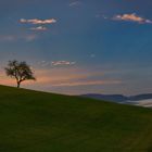 Hegau-Landschaft im Dämmerlicht