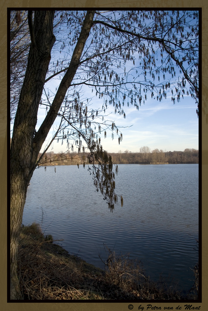 Hegbachsee in Gross-Gerau