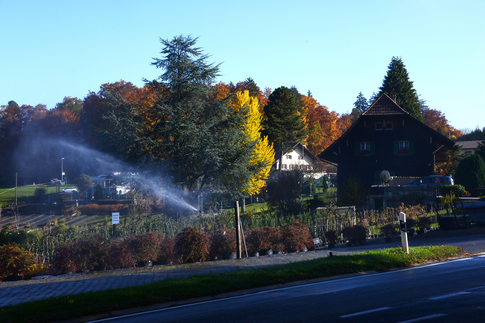 Hegidorn Mühleberg