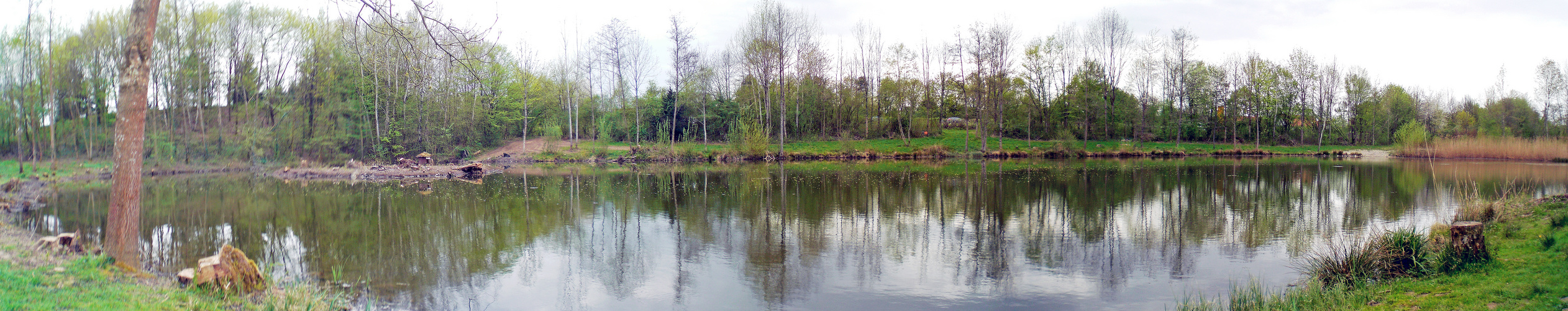 Heidach-See in Denzlingen