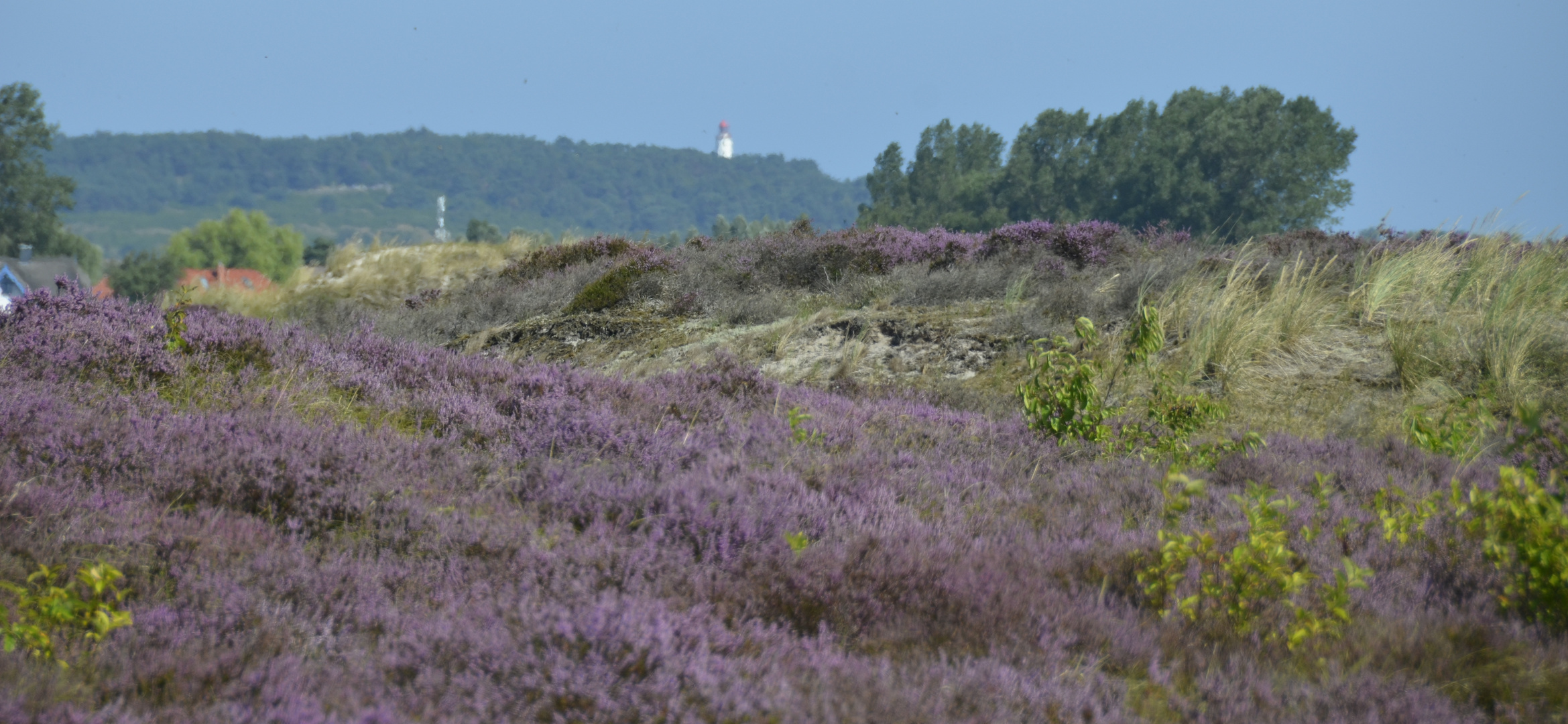 Heide 2019 Fototour 