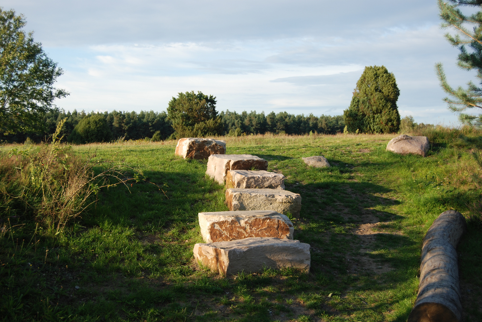 Heide bei Faßberg