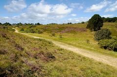 Heide bei Kampen