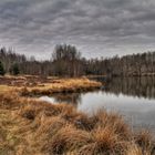 Heide bei Kauschwitz