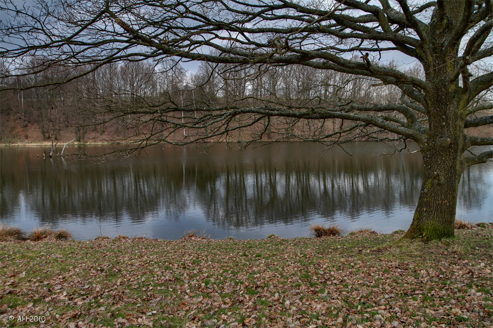 Heide bei Kauschwitz...