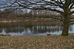 Heide bei Kauschwitz...