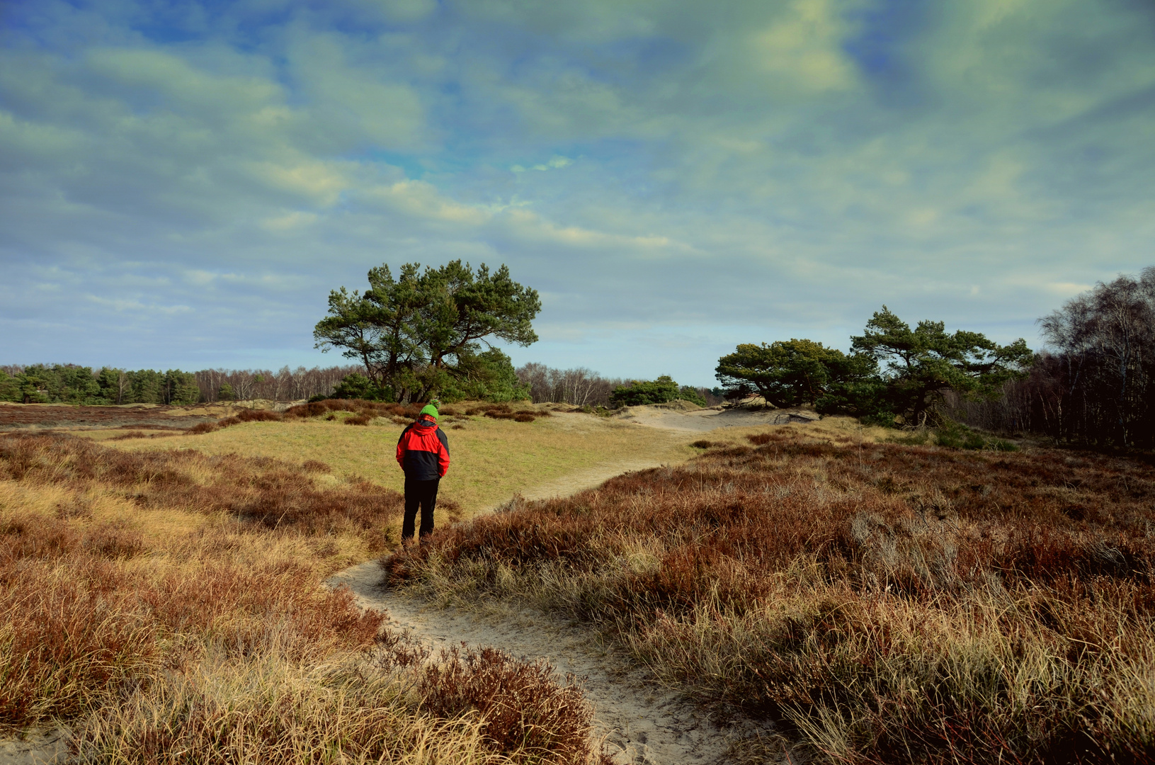 Heide Februar