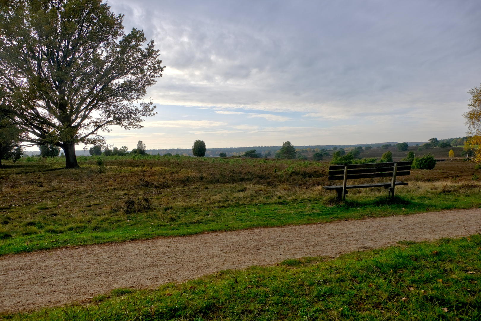 Heide-Herbst