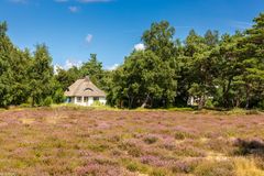 Heide Hiddensee