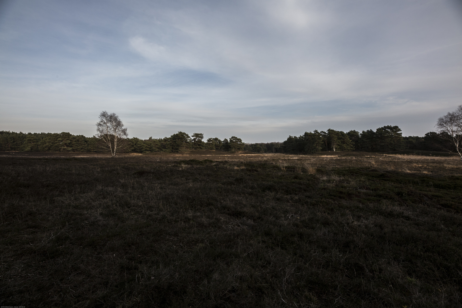 Heide im Herbst