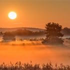 heide im morgenrot