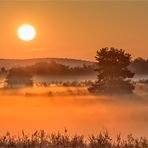 heide im morgenrot