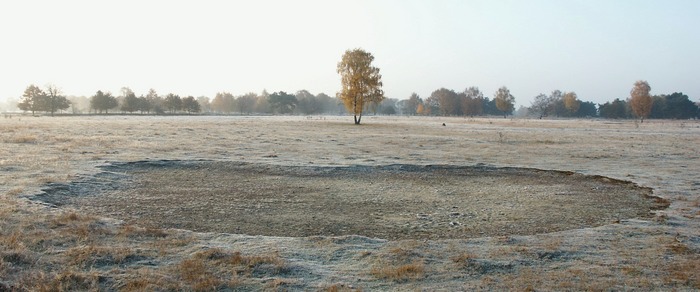 Heide im Raureif