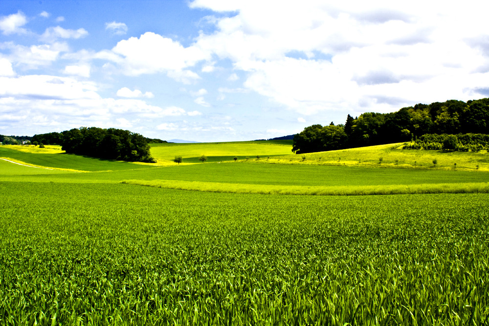 Heide in Grellingen